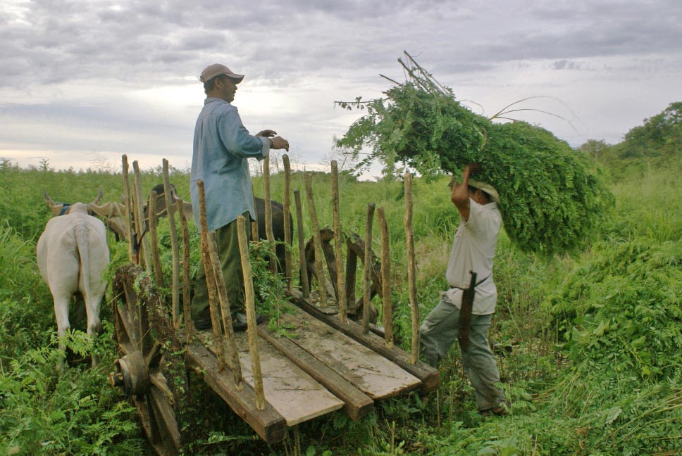 La carreta