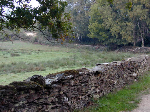 muro