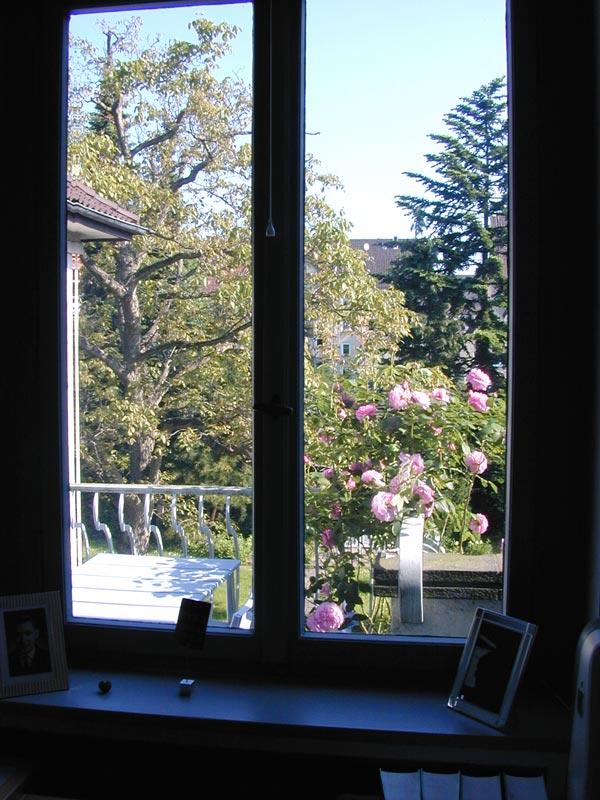 ventana al patio