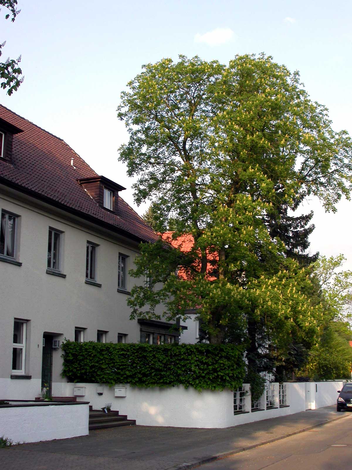 La casa en la Liebermannstrasse